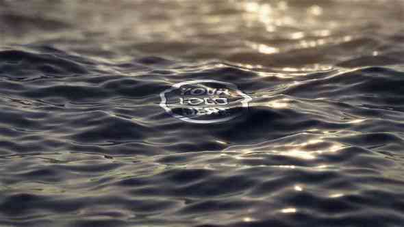 Stardust Fusion Logo Reveal After Effects Template