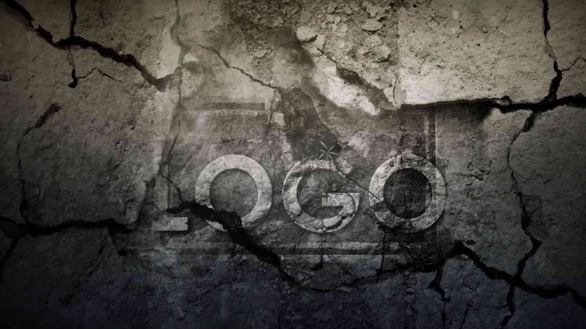 After Effects Logo Intro Reveal Trends Logo