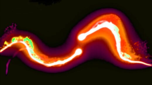 Lightstream Energy Reveal Premiere Pro Template