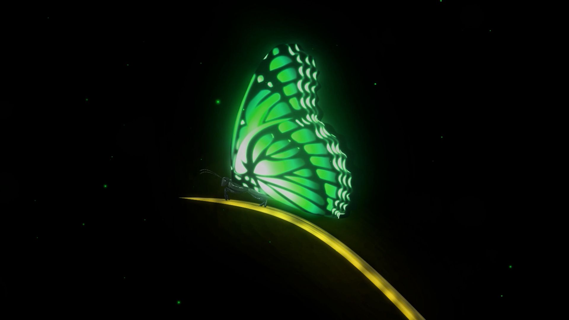 Stellar Particle Wave Intro Template