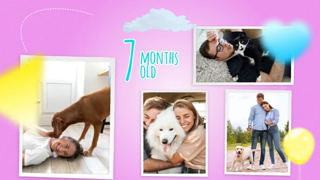 Baby 1st birthday Bebe cumple 1 ano Premiere Pro template